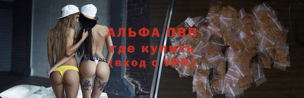 гидра Алзамай