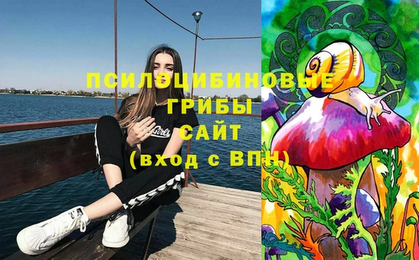 амф Алексин
