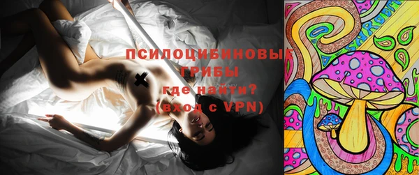 амф Алексин