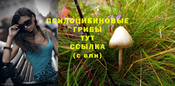 амф Алексин