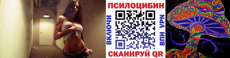 как найти   Зеленогорск  Псилоцибиновые грибы мухоморы 