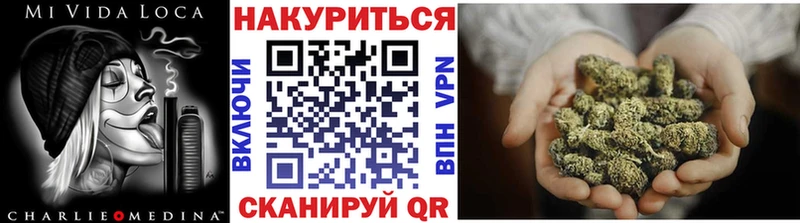 Конопля Bruce Banner  Зеленогорск 